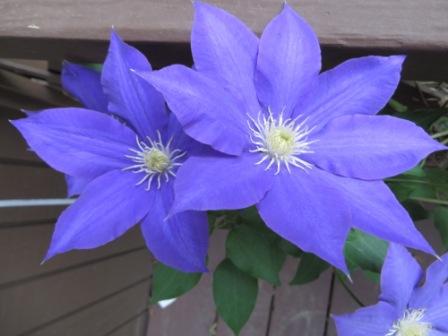 ???????????????????????????????